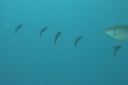 20010620_Mangrove_Bay_0029